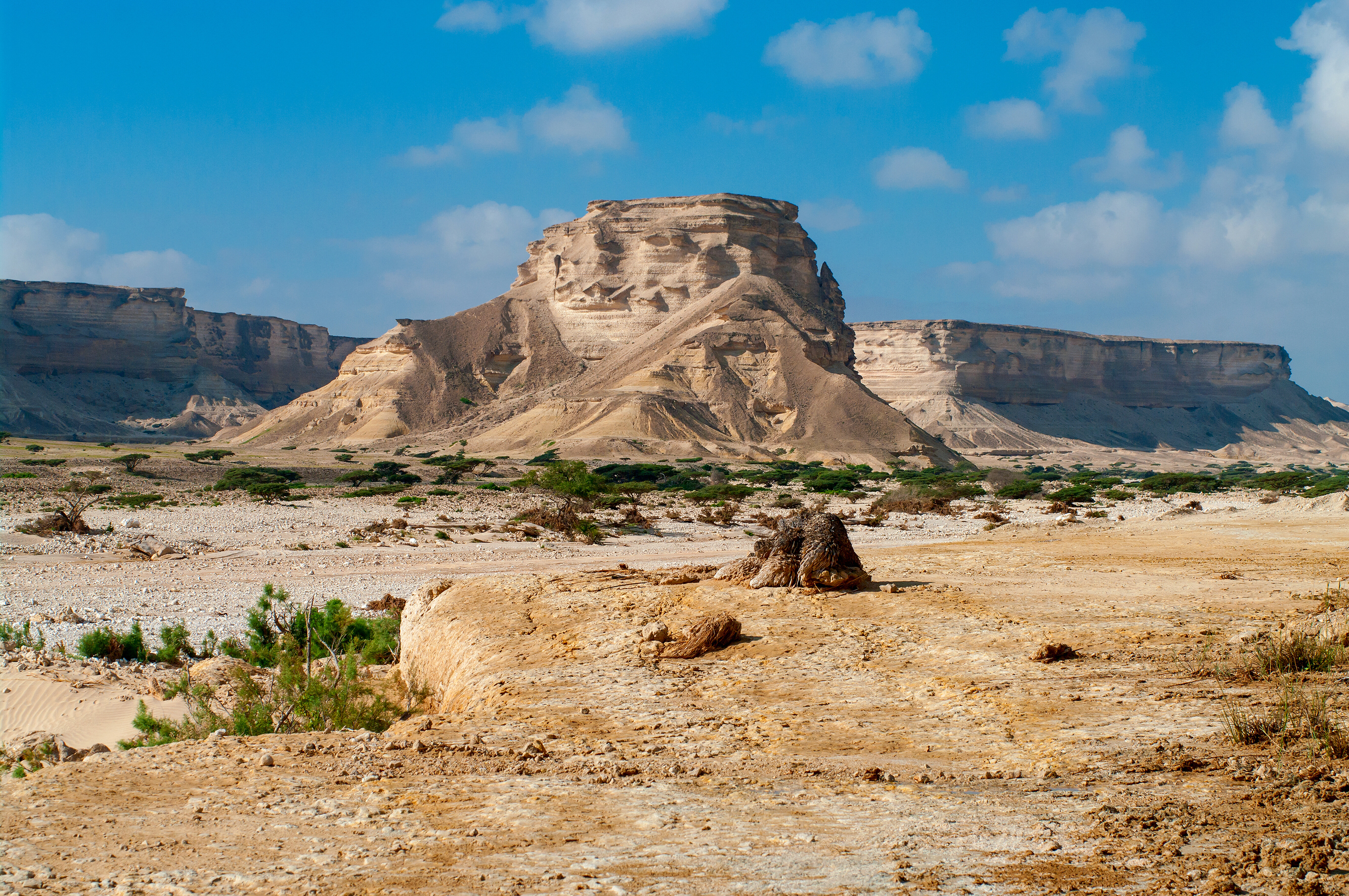 الشويمية
